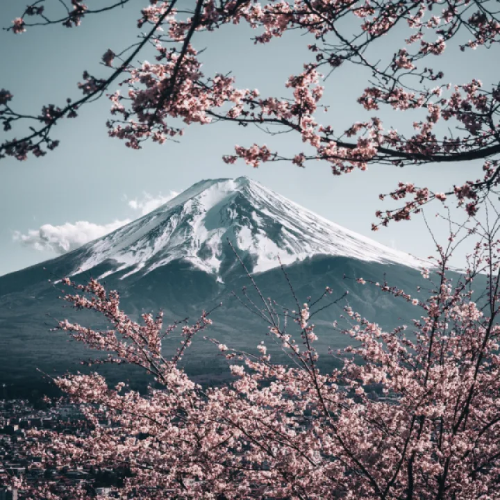 JAPONIA Cireșilor Înfloriți, Tur Clasic